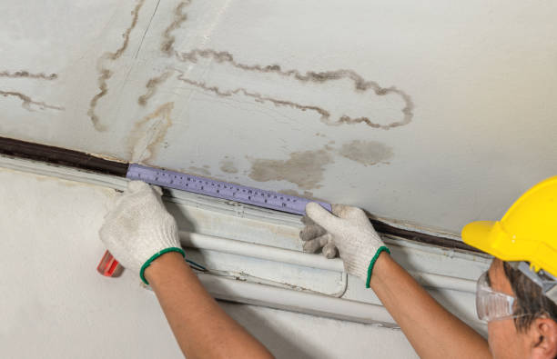 Reliable Basement Water Removal contractor in Jackson, WI by Water Damage Irwin
